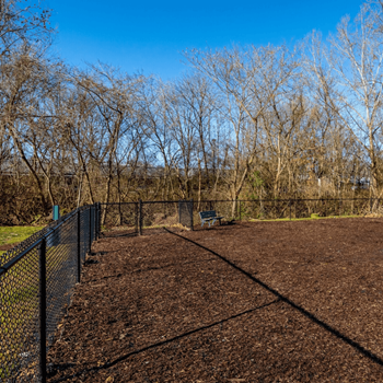 Dog park